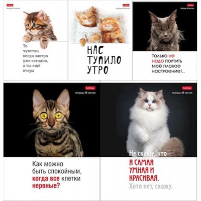 Тетрадь  48л клетка "Котоюмор" (079790) Хатбер