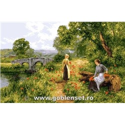 Набор для вышивания «Goblenset» (Гобелены)  1092 Peisaj cu maci