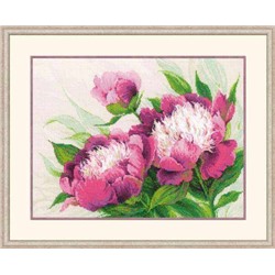 Набор для вышивания «Риолис» («Сотвори Сама»)  100/039 "Розовые пионы"