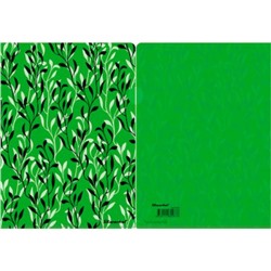 Папка-уголок А4 "Flora" светло-зеленая 255177 (1427878) SILWERHOF