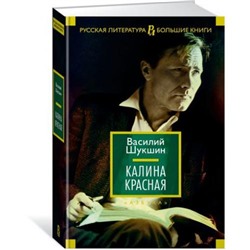 РусскаяЛитератураБольшиеКниги Шукшин В.М. Калина красная (повести, рассказы), (Азбука,АзбукаАттикус, 2021), 7Бц, c.848