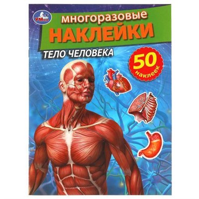 МногоразовыеНаклейки Тело человека (+50 наклеек), (Умка, 2021), Обл, c.8