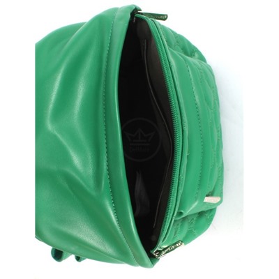 Рюкзак жен искусственная кожа DJ-6955-3-GREEN,  1отд,  2внут+2внеш/ карм,  зеленый 253967