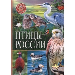 ПопулярнаяДетскаяЭнциклопедия Птицы России, (Владис, 2020), 7Бц, c.64