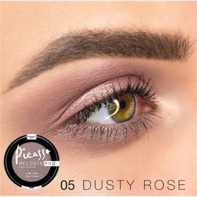 RELOUIS Тени "Pro Picasso Limited Edition" тон 05 Dusty Rose