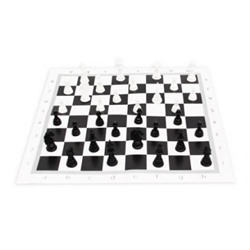 Настольная Игра Шахматы классические (поле 28,5*28,5см, пластик, картон, в пакете, от 6 лет) ИН-0160, (Рыжий кот)