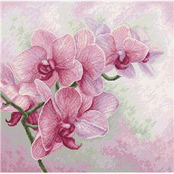 Набор для вышивания «Luca-S»  B7009 Изящные орхидеи (Luca-S)