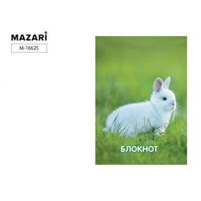 Блокнот на спирали А6 40л клетка "Белый кролик" M-16625 Mazari
