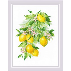 Набор для вышивания «Риолис» («Сотвори Сама»)  2054 Яркие лимоны