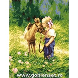 Набор для вышивания «Goblenset» (Гобелены)  1082 Fetita si poneiul