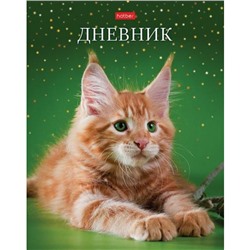 Дневник 1-11 класс (твердая обложка) "Рыжий котик" (078810) 28474 Хатбер