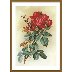 Набор для вышивания «Nova Sloboda»  СР6244 Роза красная