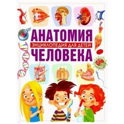 Энциклопедия для детей. Анатомия человека (Гуиди В.), (Владис, 2019), 7Бц, c.64