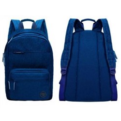 Рюкзак молодежный RXL-121-1/2 синий 27х38х14 см GRIZZLY {Китай}