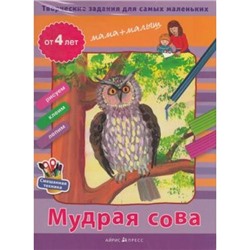 РисуемКлеимЛепим Творческие задания для самых маленьких. Мудрая сова (в папке 64 листа) (игра развивающая и обучающая) (для детей от 4-х лет), (Айрис Пресс, 2013), Кор