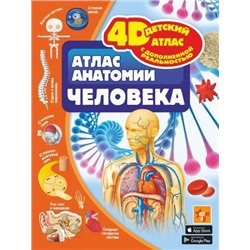 Детский4DАтлас Атлас анатомии человека (с дополненной реальностью) (Спектор А.А.), (АСТ, 2022), 7Б, c.128